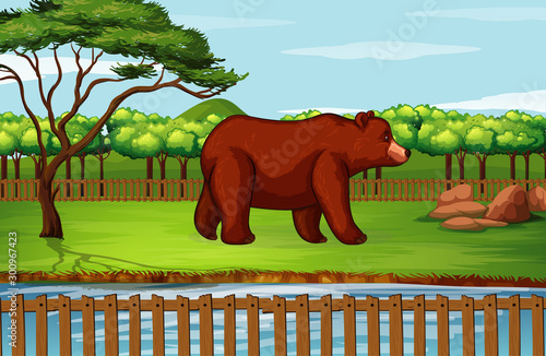 Scene with grizzly bear in the zoo