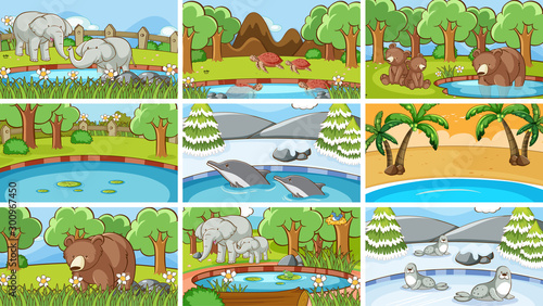 Background scenes of animals in the wild
