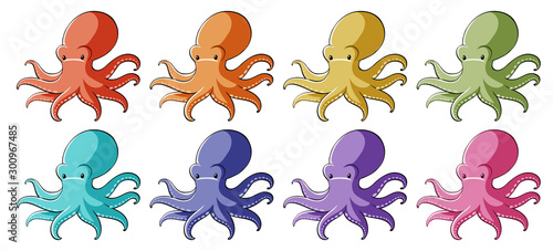 Octopus in different colors © GraphicsRF