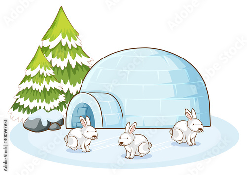 Scene with white bunnies in winter