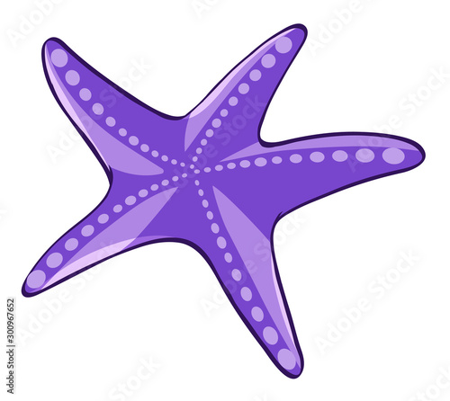 Purple starfish on white background
