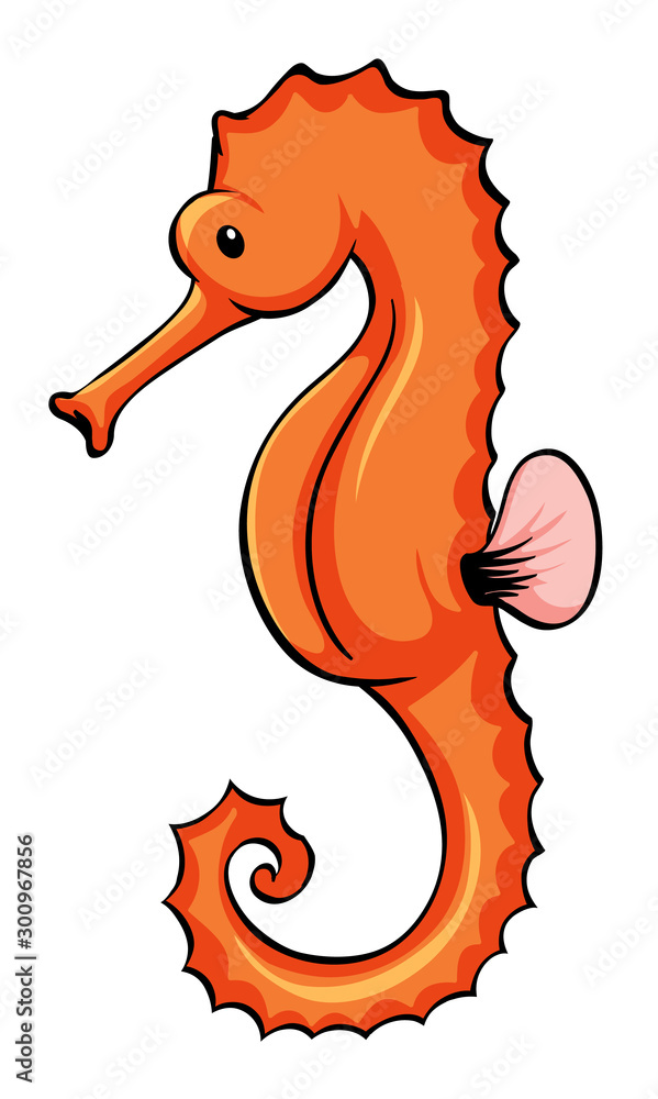 Orange seahorse on white background Orange seahorse on white background