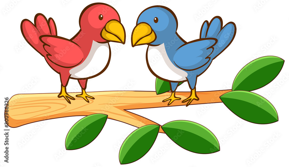 Obraz premium Two birds on white background