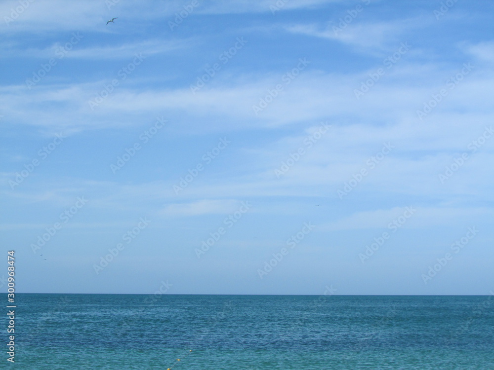 mar mar