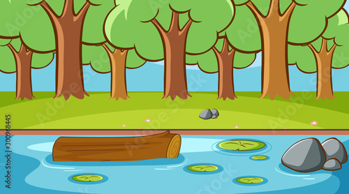 Background scene with trees in the forest