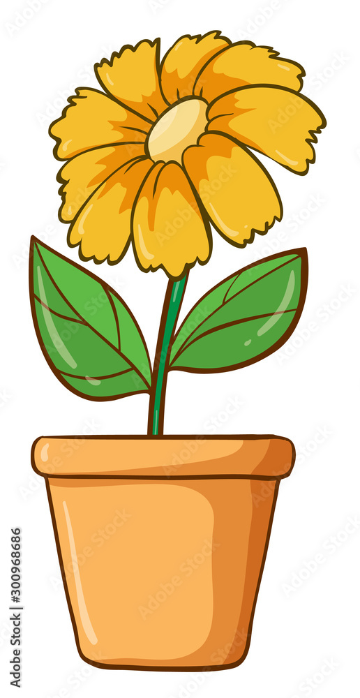 Obraz premium Single flower in clay pot