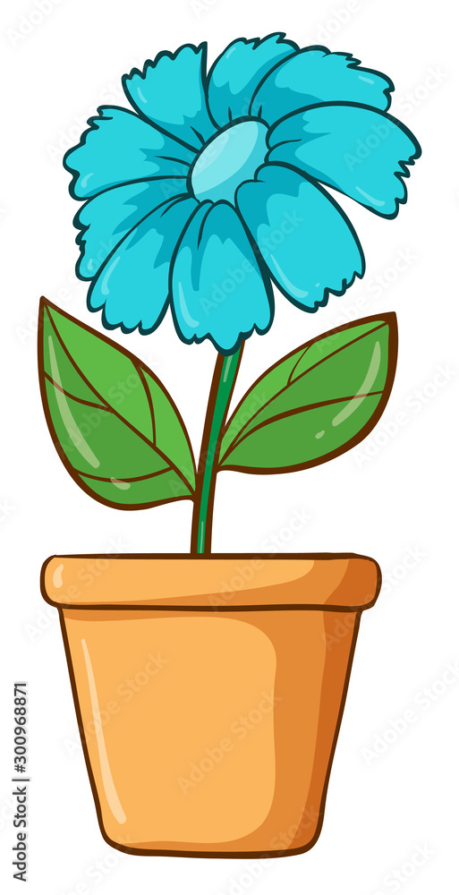 Obraz premium Single flower in blue color