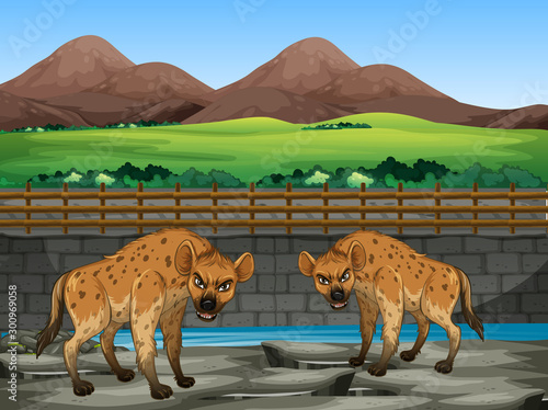 Scene with hyena in the zoo