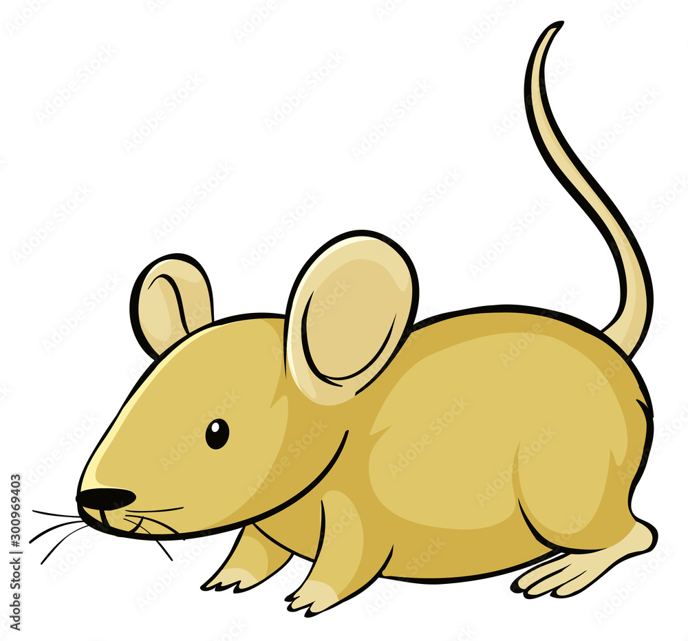 Yellow mouse on white background