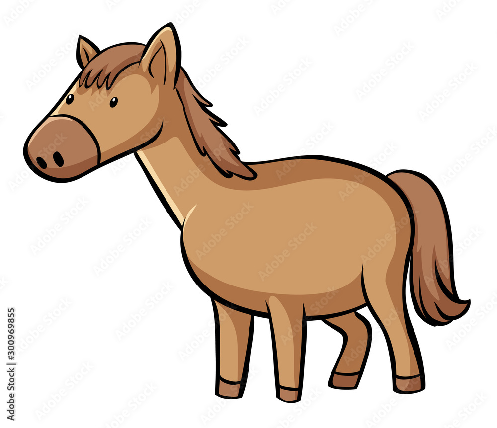 Brown horse on white background