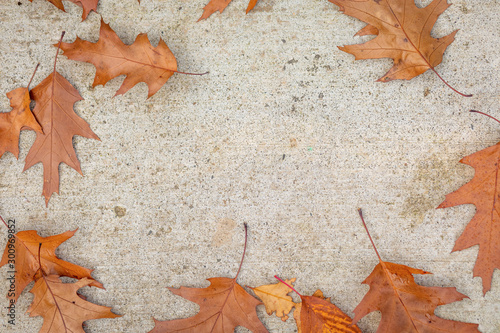 Natural leaf backdrop on cement, texture for Fall/Autumn seasonal, presentation, signage, Autumn advertisement