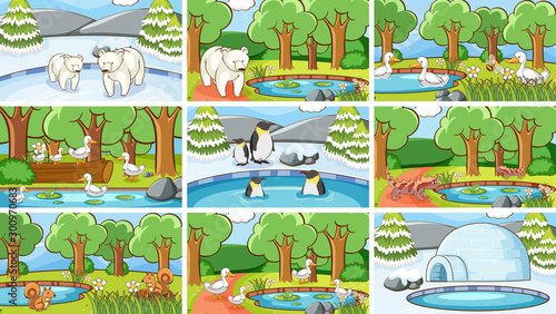 Background scenes of animals in the wild