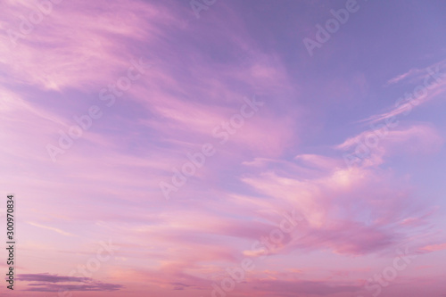 Fototapeta Naklejka Na Ścianę i Meble -  Dramatic sunrise, sunset pink violet sky with clouds background texture	
