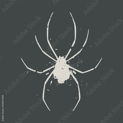 art spider illustration