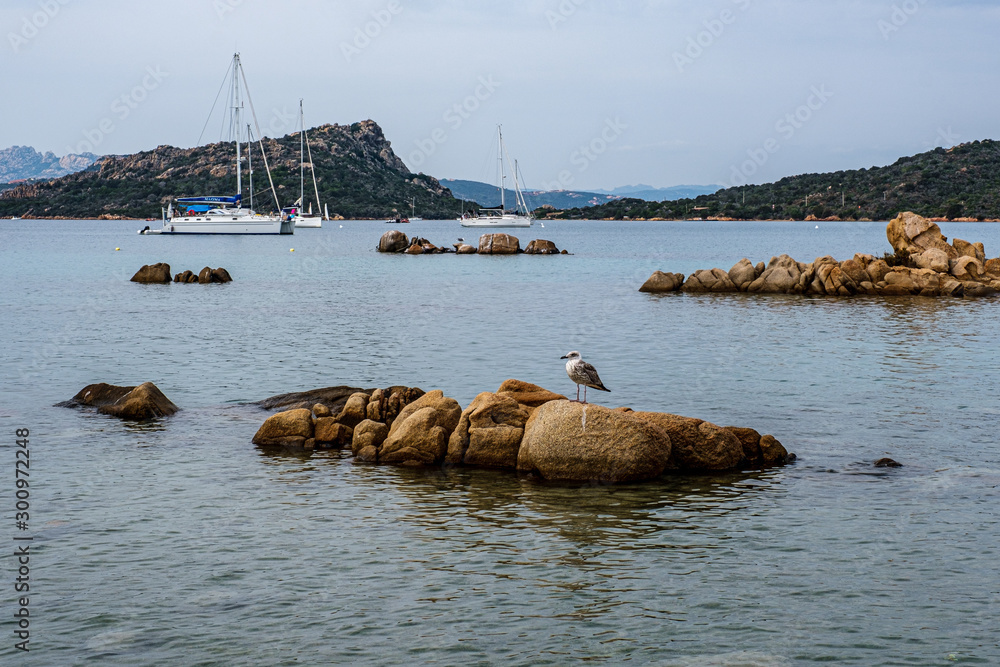 Obraz premium Sardegna, Arcipelago Maddalena