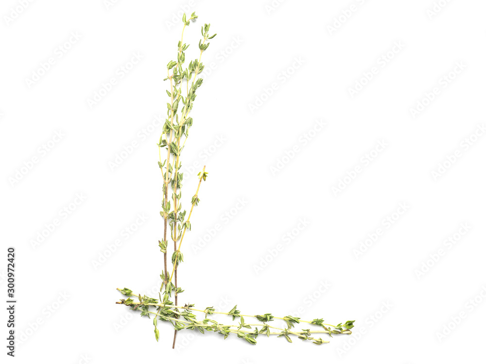 Isolated object: spelled with sprigs of rosemary letter of the English alphabet