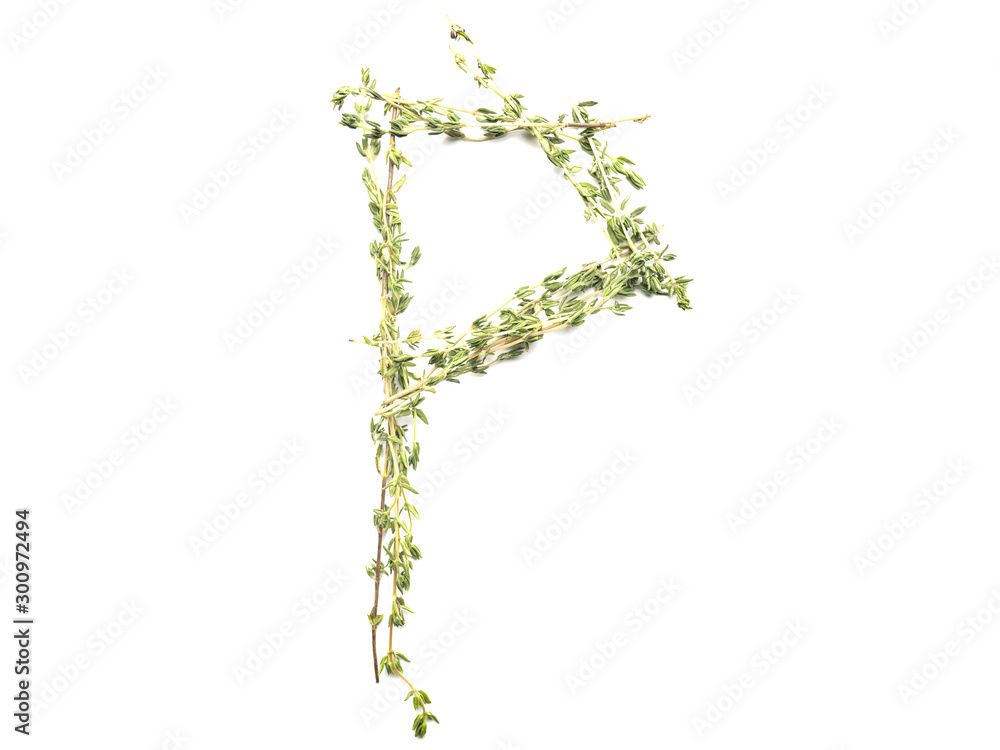 Obraz premium Isolated object: spelled with sprigs of rosemary letter of the English alphabet