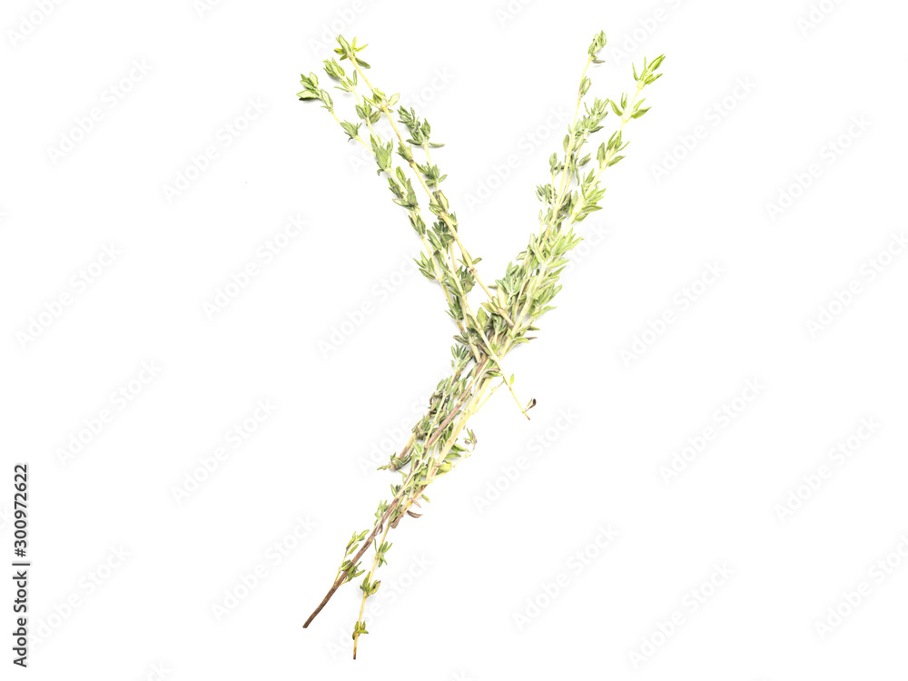 Isolated object: spelled with sprigs of rosemary letter of the English alphabet Isolated object: spelled with sprigs of rosemary letter of the English alphabet