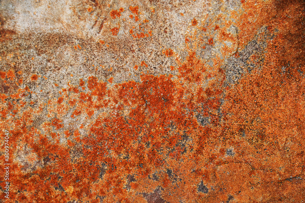 rusty metal texture rusty metal texture