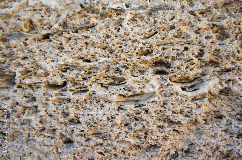 Yellow limestone shellrock abstract texture Yellow limestone shellrock abstract texture