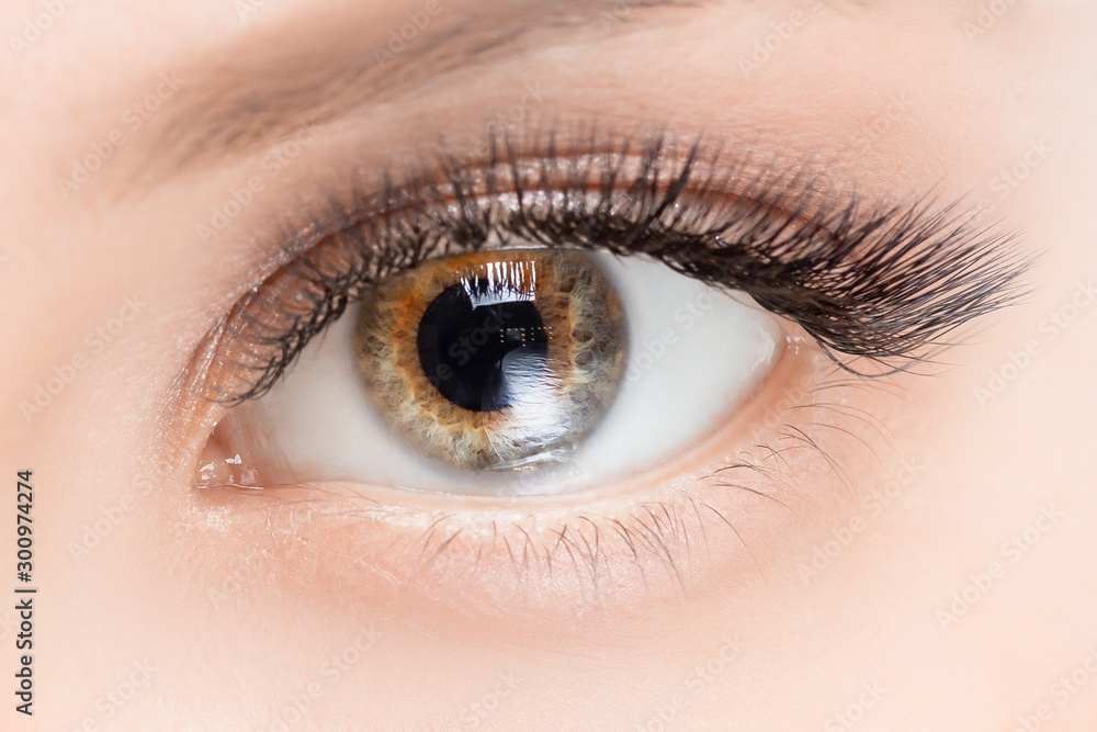 Obraz premium Eyelash extension procedure. Beautiful female eyes with long lashes makeup closeup