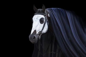 Horse with halloween skeleton decoration