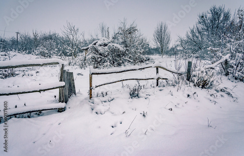 Winter landscape and nature