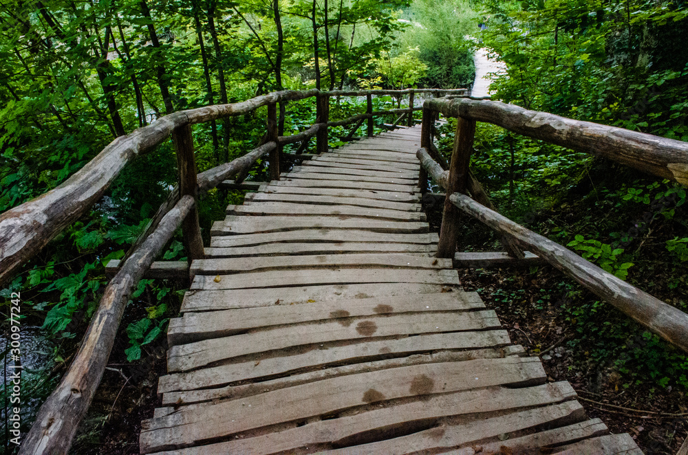 Healthy Morning walk through a wooden pathway inside a forest. Into the nature. Close to earth and green. Refreshing exercise. Healthy Morning walk through a wooden pathway inside a forest. Into the nature. Close to earth and green. Refreshing exercise.