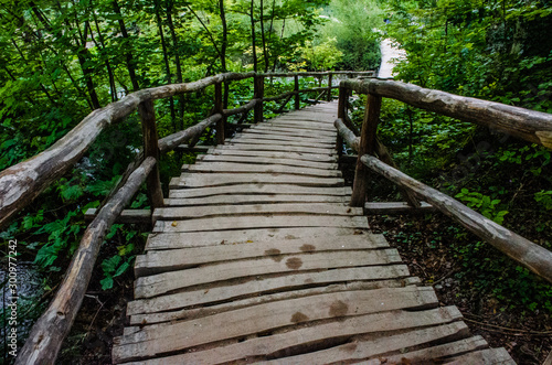 Healthy Morning walk through a wooden pathway inside a forest. Into the nature. Close to earth and green. Refreshing exercise.  © sajiths