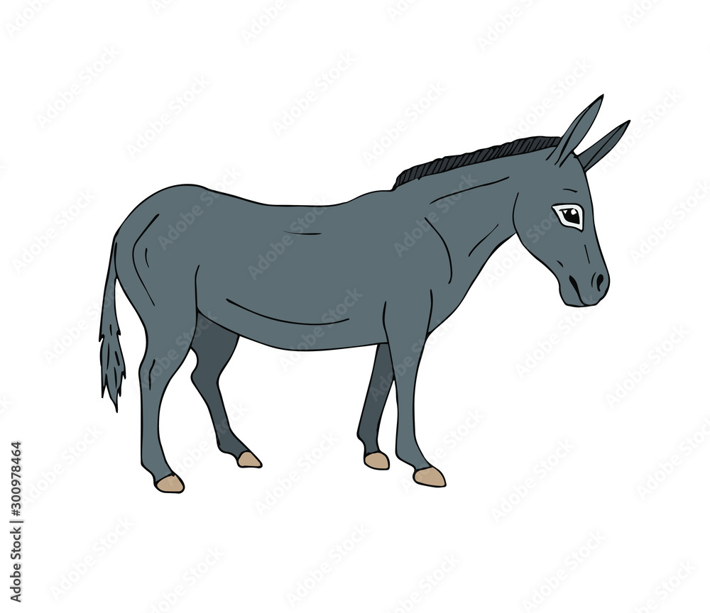 Vector hand drawn doodle gray sketch donkey isolated on white background Vector hand drawn doodle gray sketch donkey isolated on white background