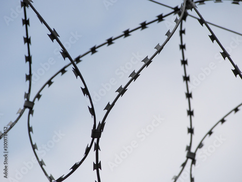 Coils of barbed wire against a clear sky.