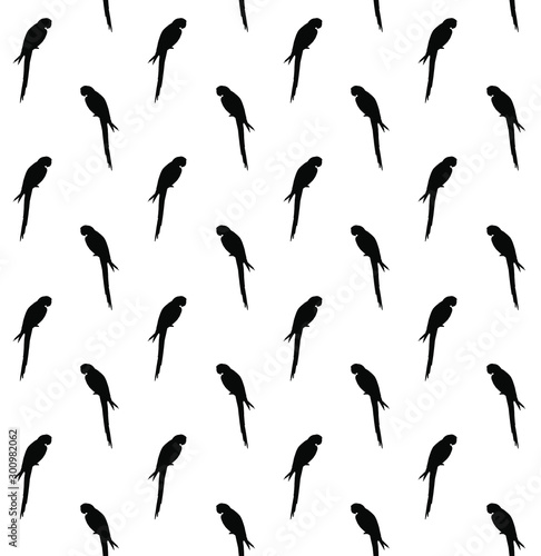 Vector seamless pattern of macaw parrot silhouette isolated on white background