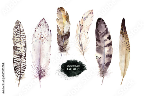 Fototapeta Naklejka Na Ścianę i Meble -  Hand drawn watercolor paintings vibrant feather set. Boho style wings. illustration isolated on white. Bird fly design for T-shirt, invitation, wedding card.Rustic Bright colors.