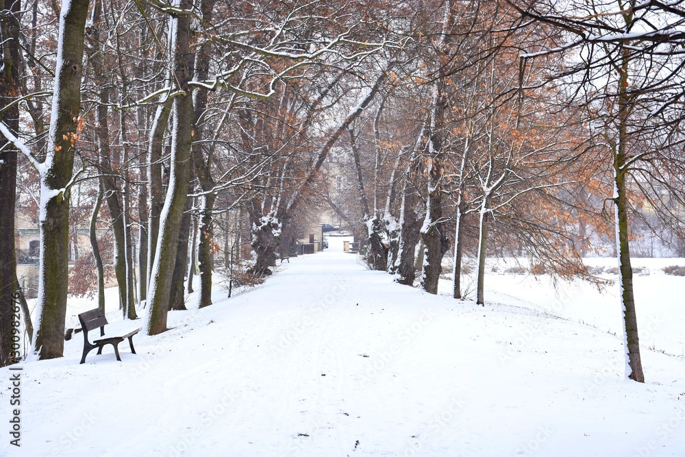 Bench and snowy trees in Prague park Bench and snowy trees in Prague park