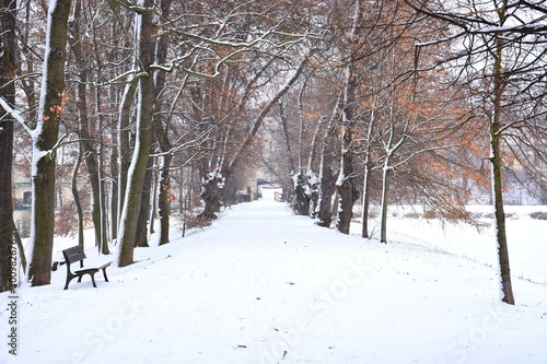 Bench and snowy trees in Prague park © Kristyna_Mladkova