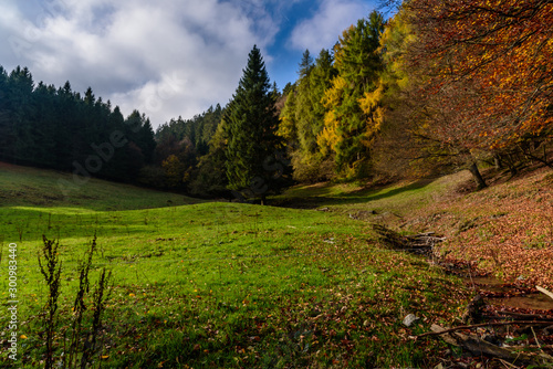 Green field at Langenberg in autumn