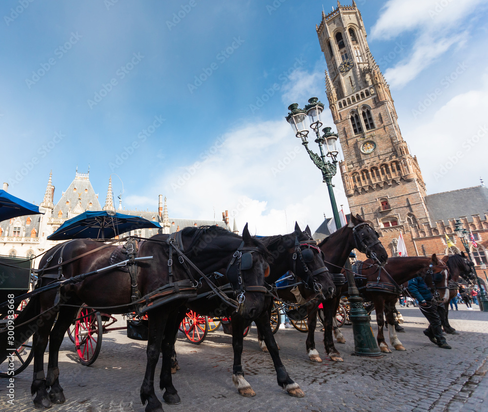 Dark horses are harnessed to a cart against the backdrop of the Belfort tower in Bruges, Belgium