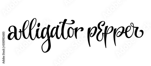 Hand drawn spice label - alligator pepper. Vector lettering design element. Isolated calligraphy scrypt stile word.