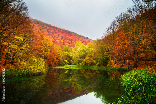 Small lake surrounded by forest with colorful plants at autumn cloudy and foggy day. Lake Grza near the Paracin in Serbia.