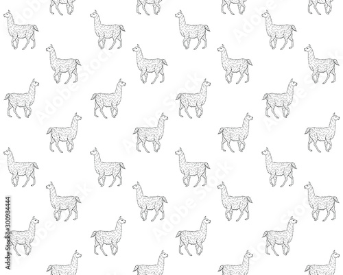 Vector seamless pattern of black outline hand drawn sketch llama isolated on white background