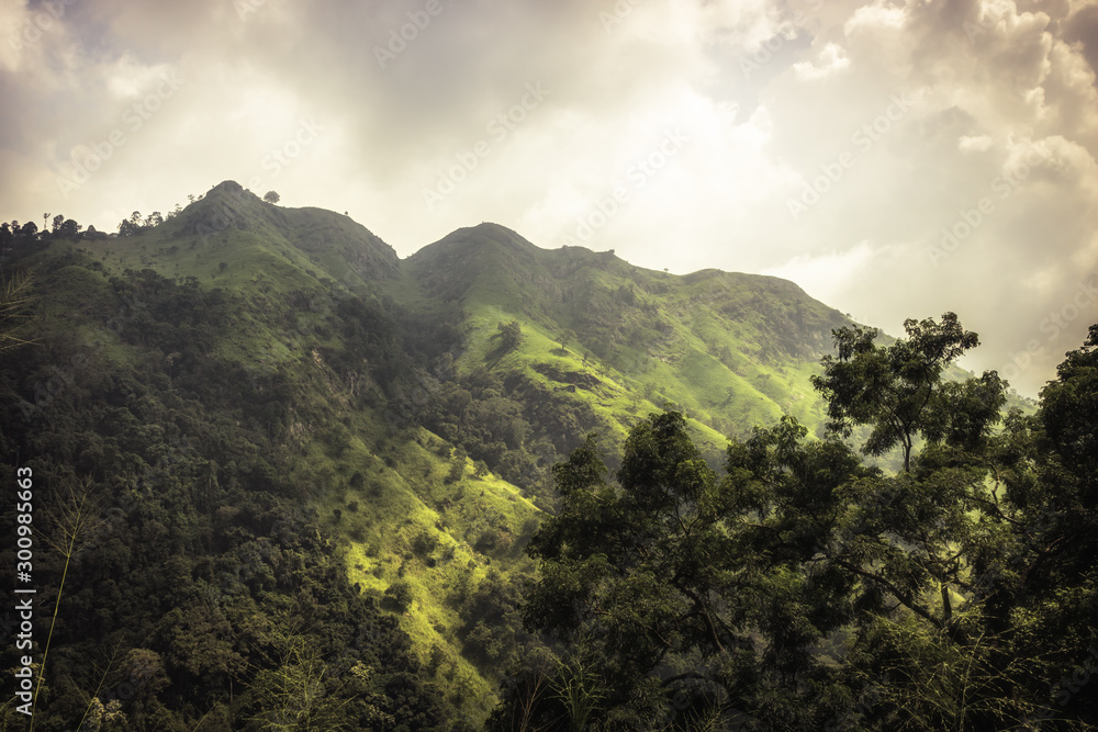 Green mountain trees scenery landscape little Adam’s Peak in Asia Sri Lanka Ella surroundings
