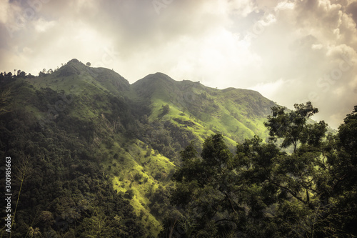 Green mountain trees scenery landscape little Adam’s Peak in Asia Sri Lanka Ella surroundings