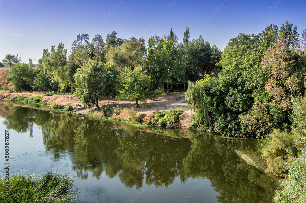 Fototapeta premium landscape with Tagus river in Malpica de Tajo, province of Toledo. Spain.