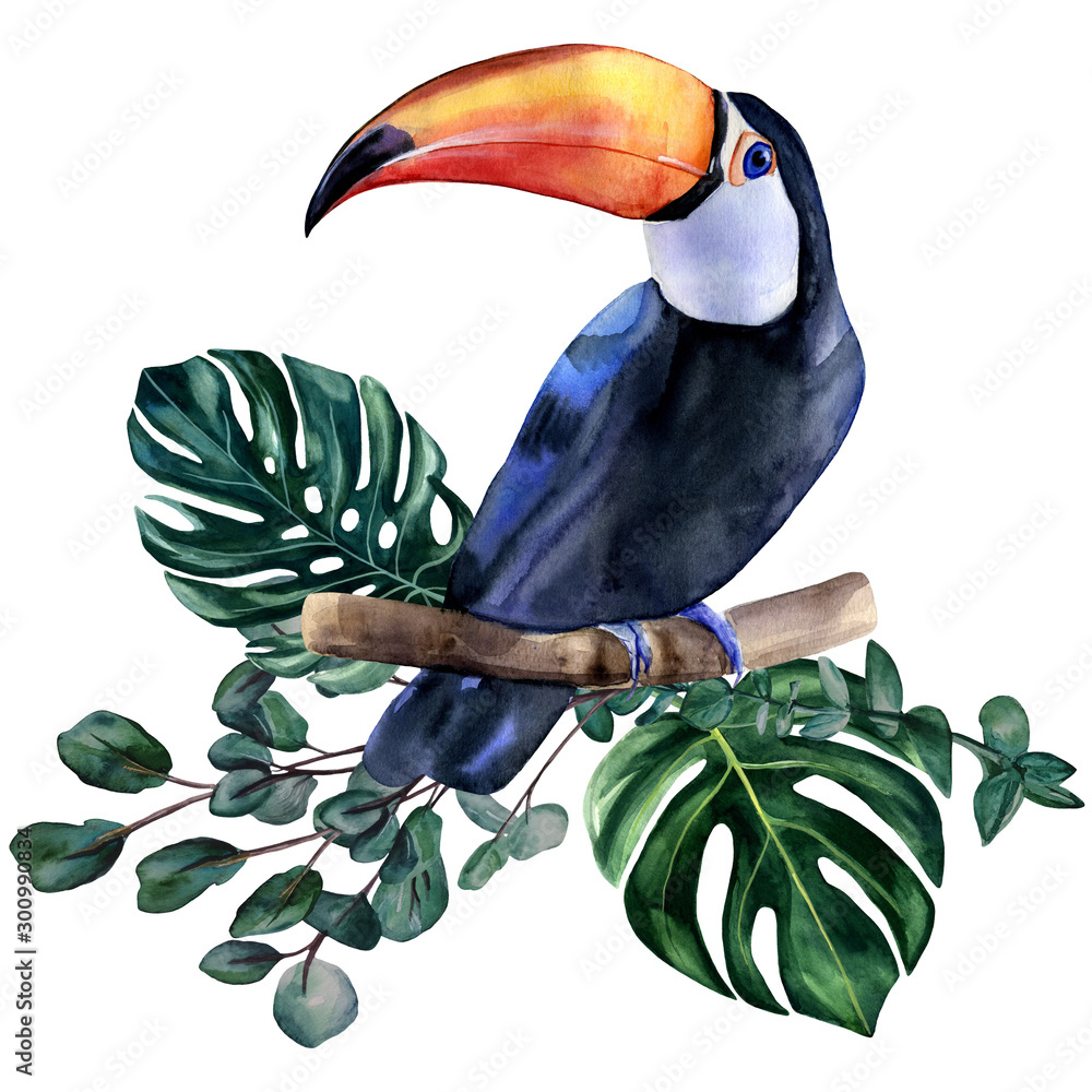 Watercolor hand painted colorful realistic illustration of toucan bird with monstera leaves and eucalyptus branches. Bright tropical composition is perfect for invitation for thematic wedding or party - obrazy, fototapety, plakaty 