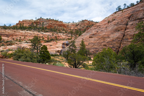 Road through the Zion National Park. Landscape of rock hills and trees. Utah, USA