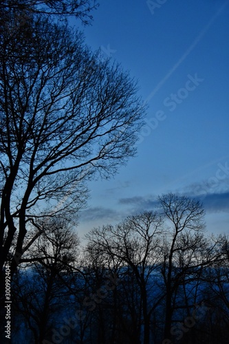 Cold winter morning in Prague