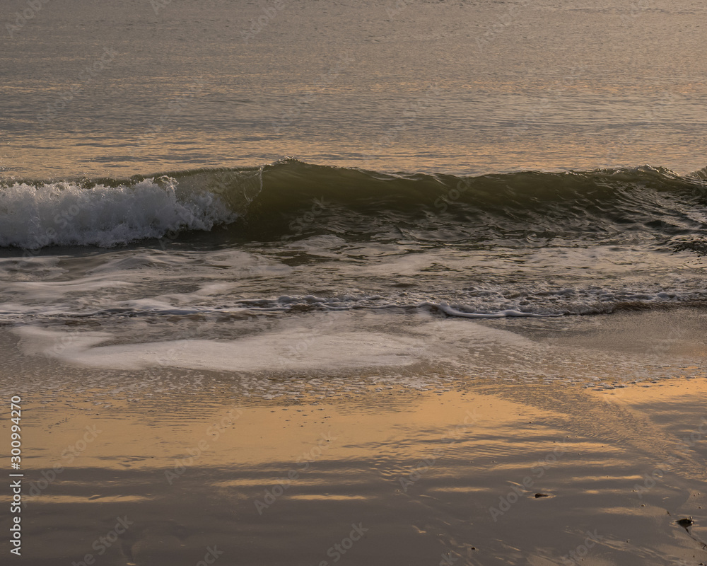 Waves in afternoon light