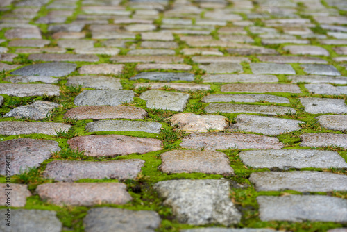 Paving stones after rain with green moss and grass.