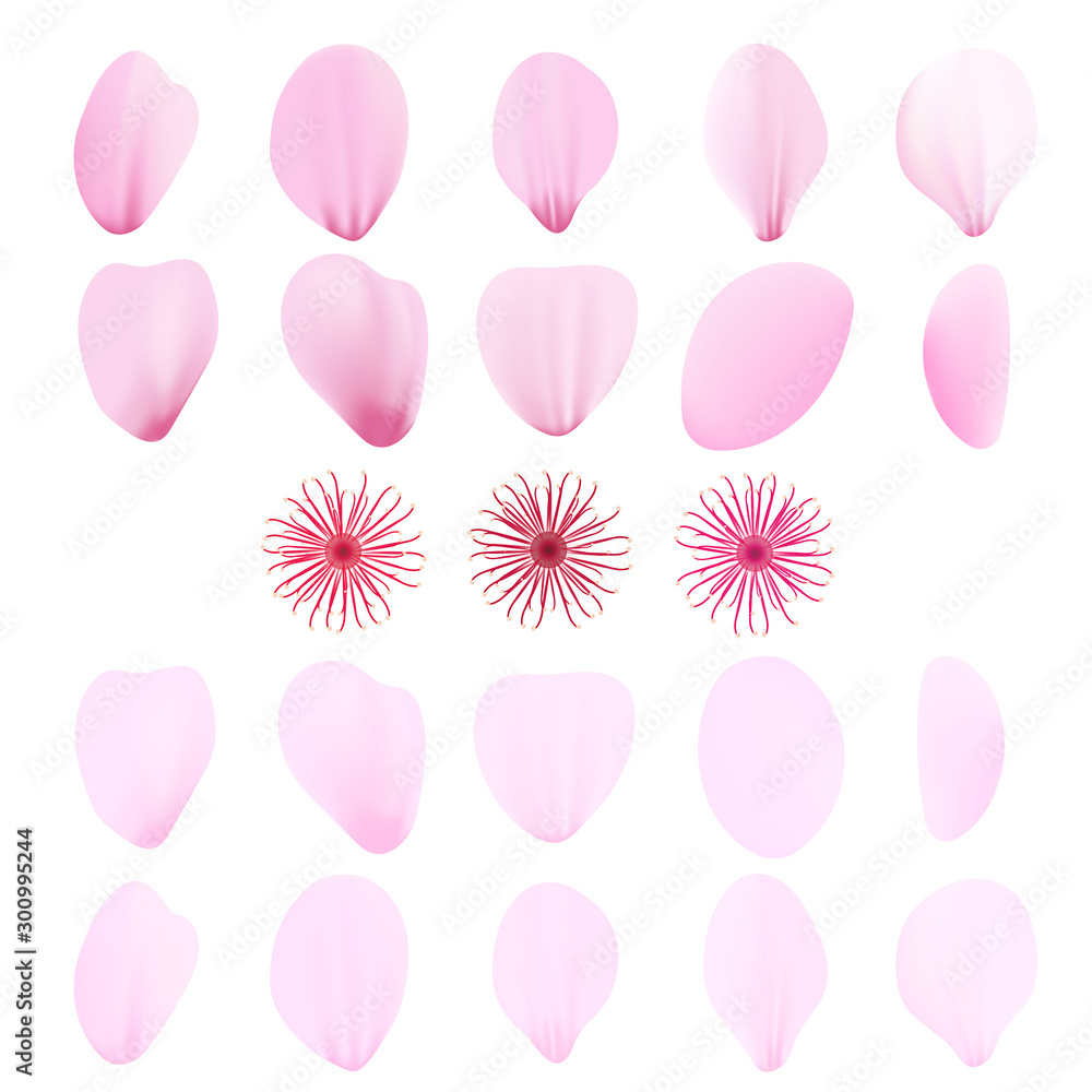 Realistic pink sakura petals icon set. Cherry petals