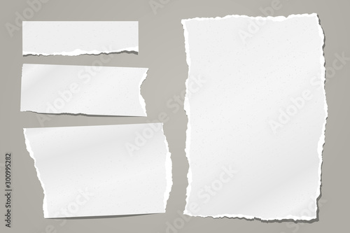 Set of torn white note, notebook paper strips and pieces stuck on grey background. Vector illustration